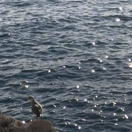 Les Constellations - 公寓 滨海博利厄